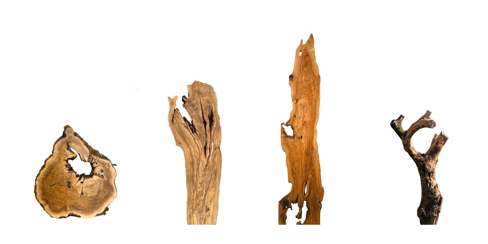 Große Olivenholz Bohlen und Baumscheiben mit natürlicher Maserung und Loch für Tischbau und Epoxidharz Projekte